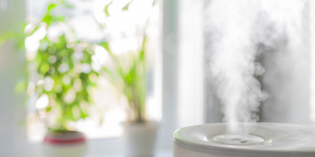 5 humidifier benefits: How the portable device may reduce the spread of germs and improve your skin